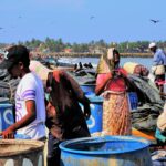 Sri Lanka Crisis – Unravelling of the Freebie Economy